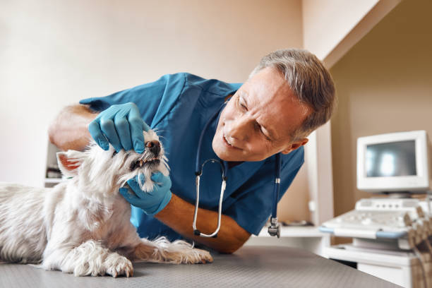 Best Weekend Emergency Dentist in Glendora, NJ