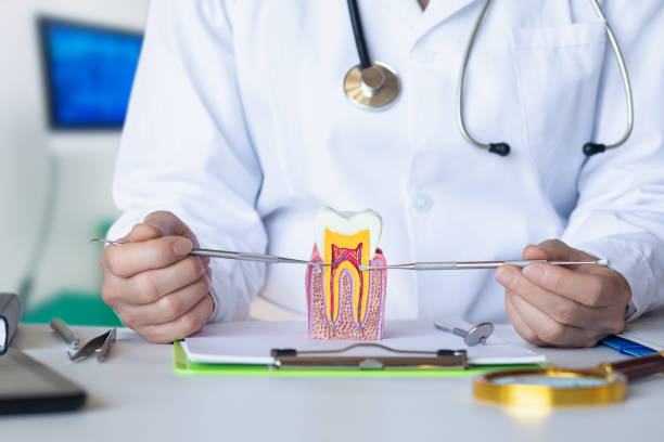 Best Emergency Dental Care for Broken or Chipped Teeth in Glendora, NJ